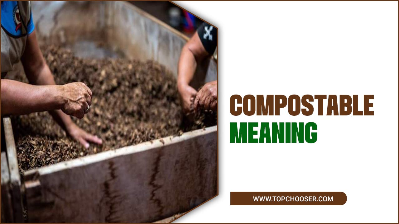 Compostable Meaning A Guide To The Best Attractions