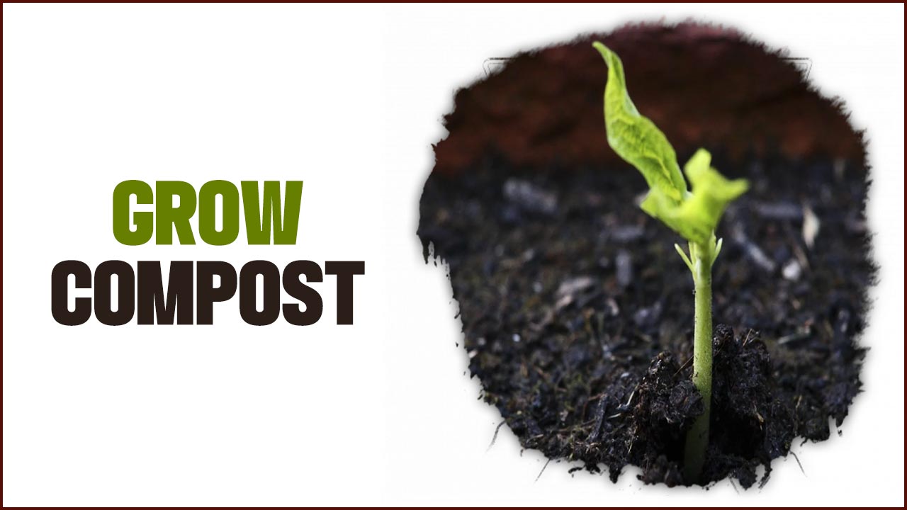 Grow Compost A Guide To Sustainable Agriculture