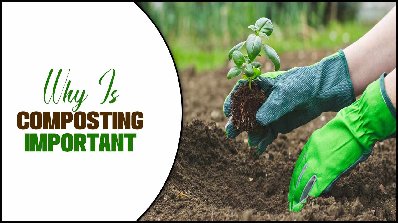Why Is Composting Important Uncover The Benefits!