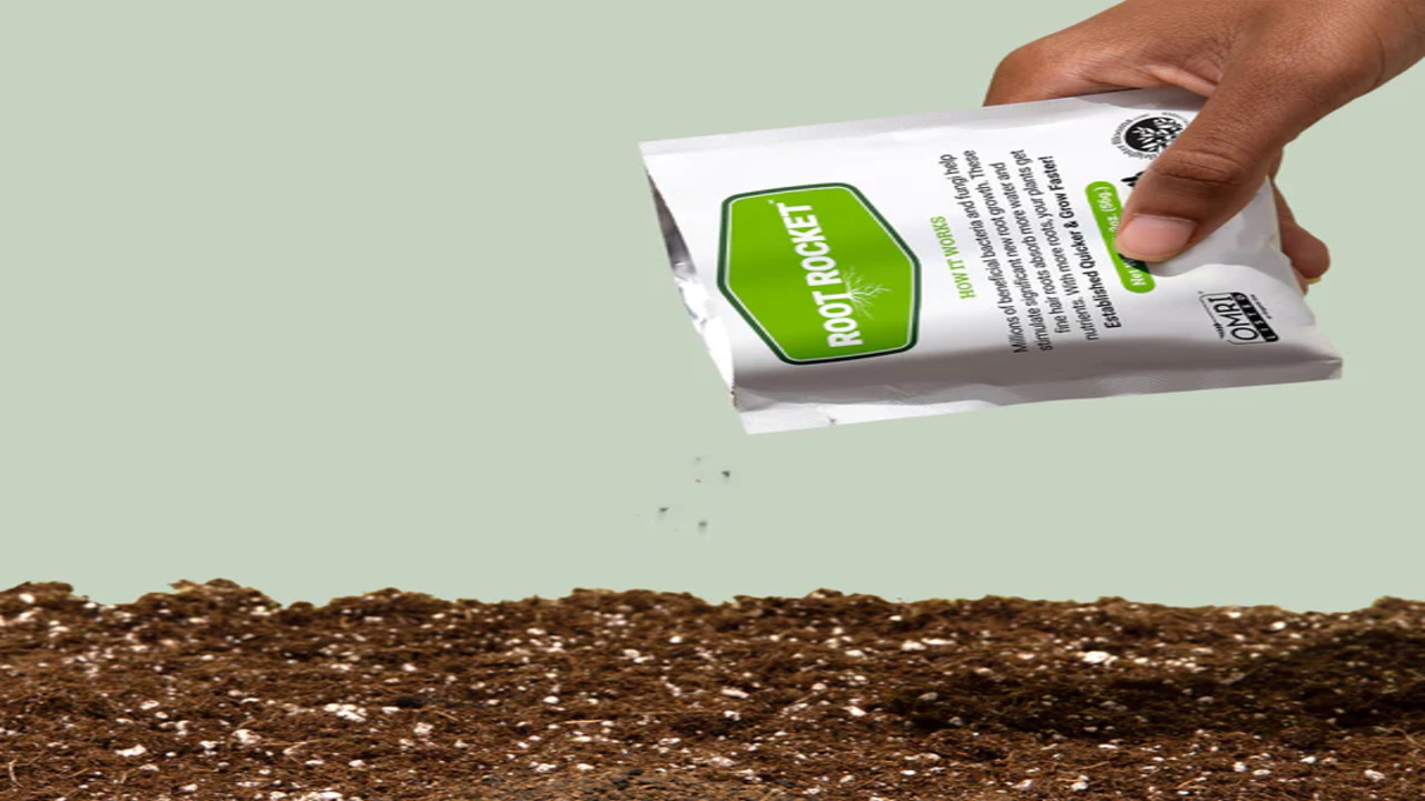 Addressing Common Concerns About Fertilizer Use