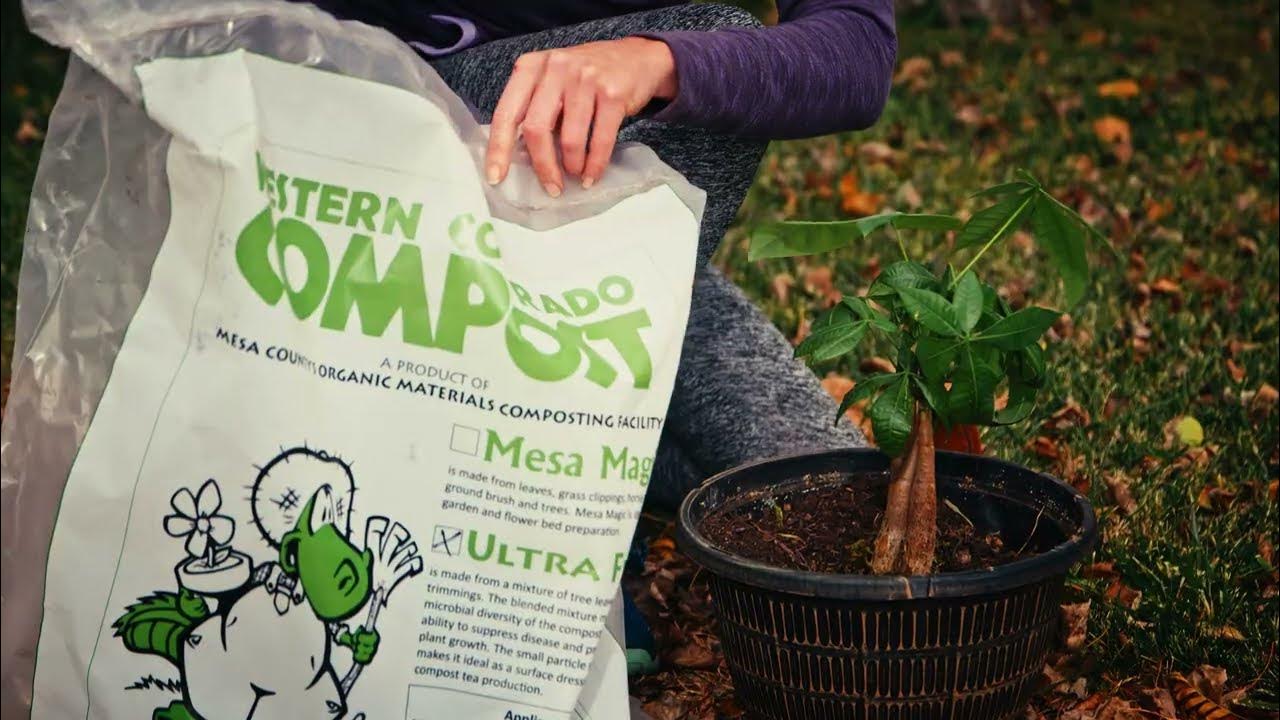 Mesa Magic Compost Grand Junction- Using Process