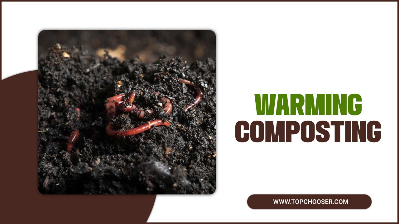 What Is Warming Composting Boost Your Garden