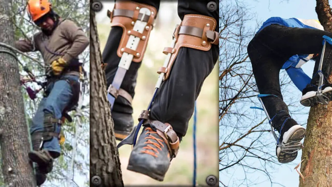 How To Use Tree Climbing Spurs/Spikes Explore 6 Expert Tips