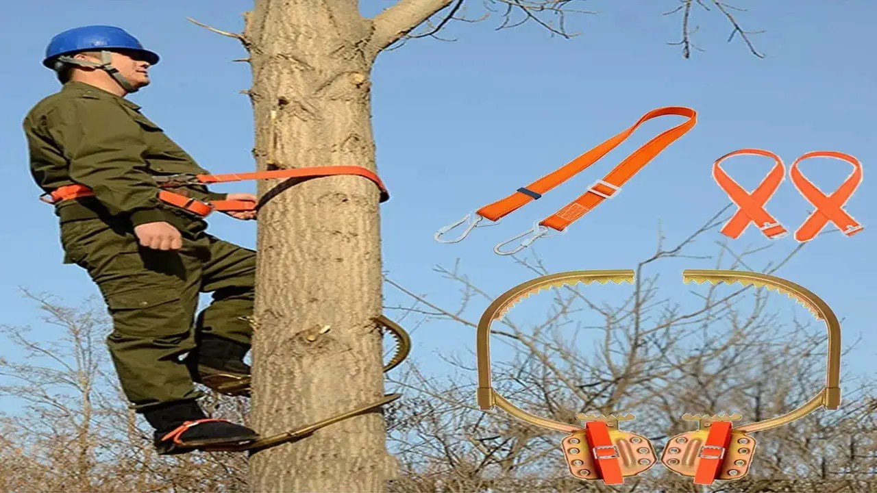 Best Tree Climbing Spikes Explore The 5 Best Tree
