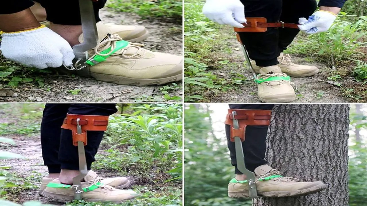 Best Tree Climbing Spikes Explore The 5 Best Tree