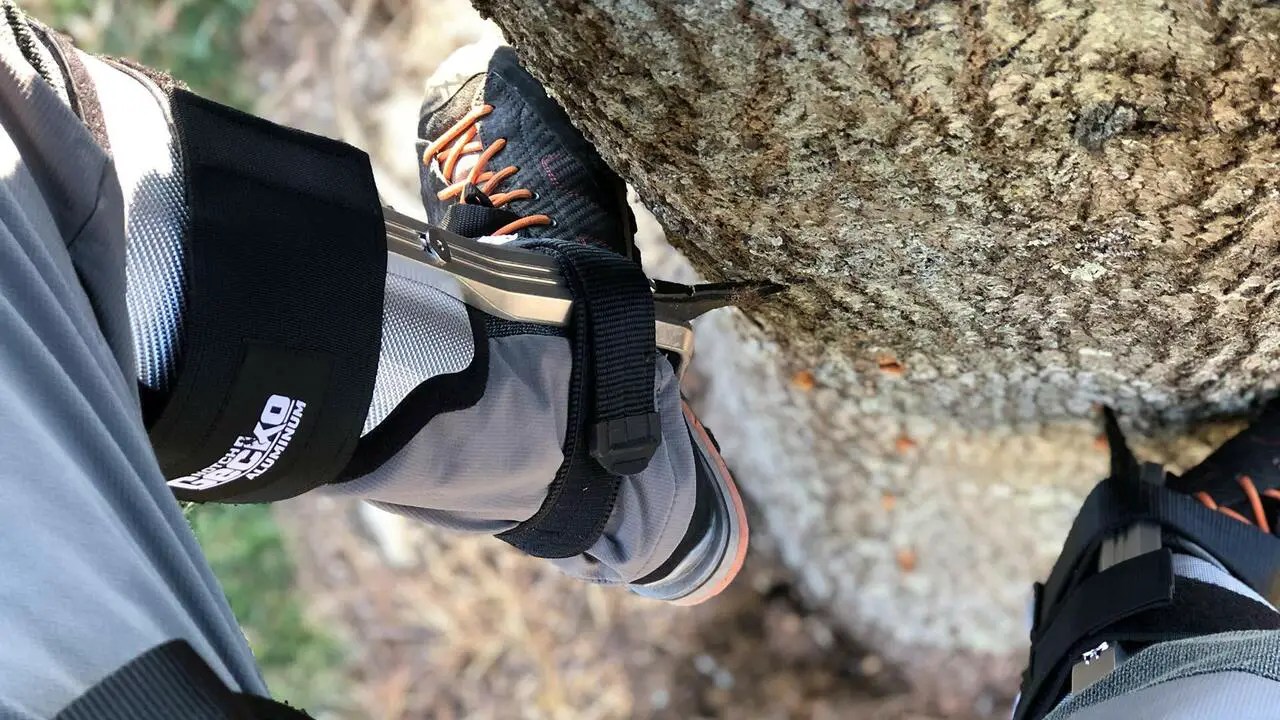 Best Tree Climbing Spikes Explore The 5 Best Tree