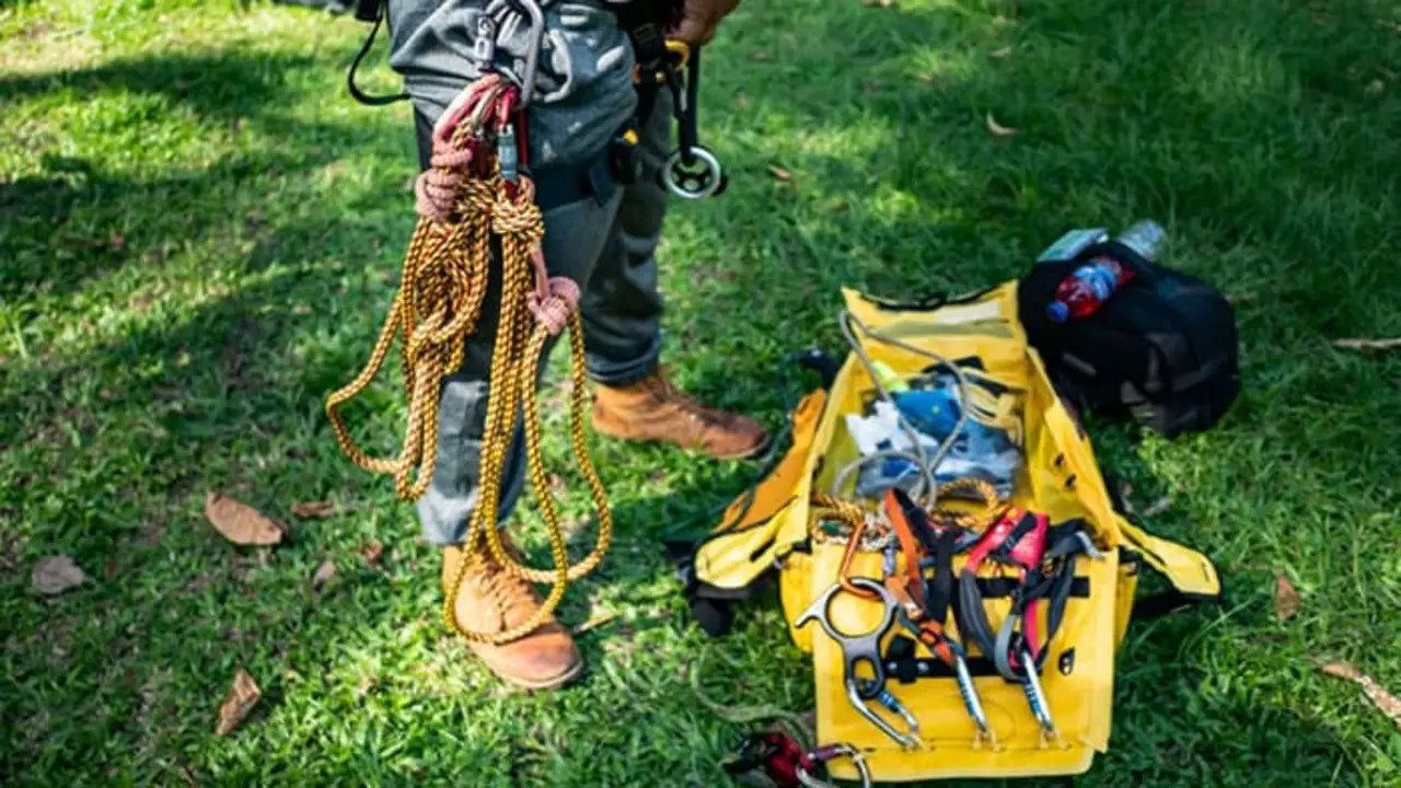 How Do You Set Up Tree Climbing Spikes Explained In 6 Steps
