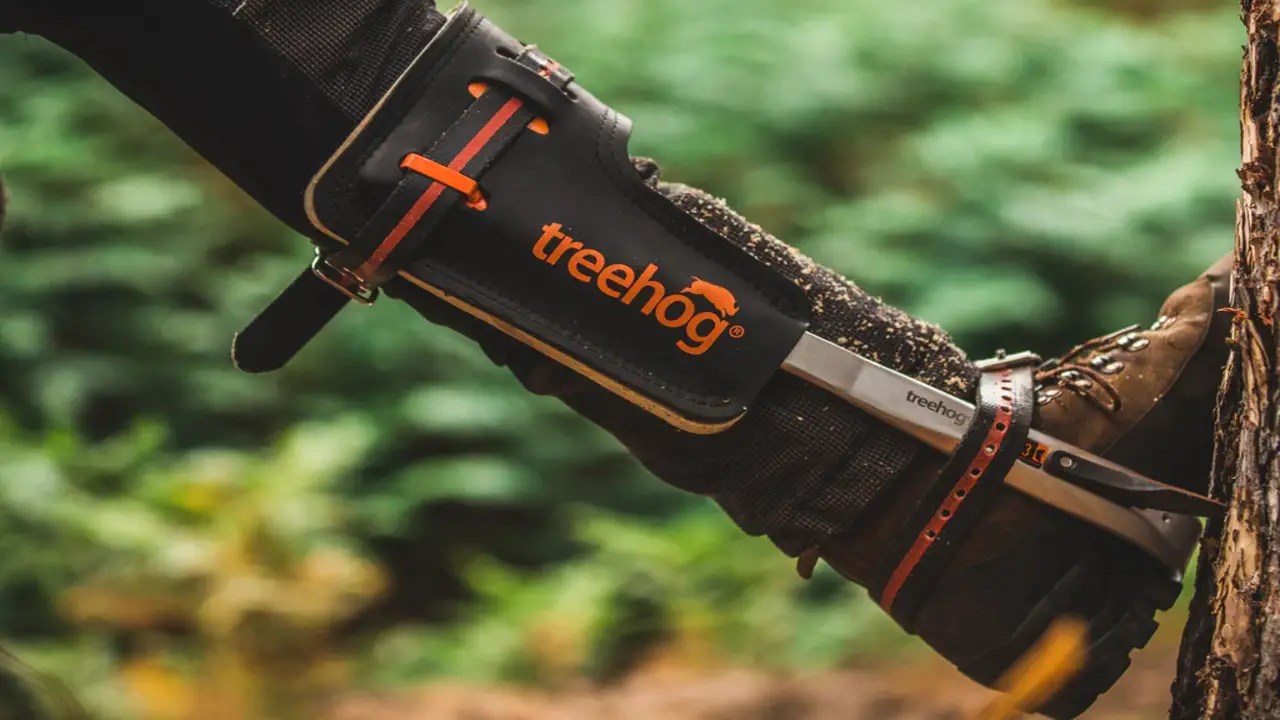 Tree Climbing Spurs Vs. Tree Climbing Spikes