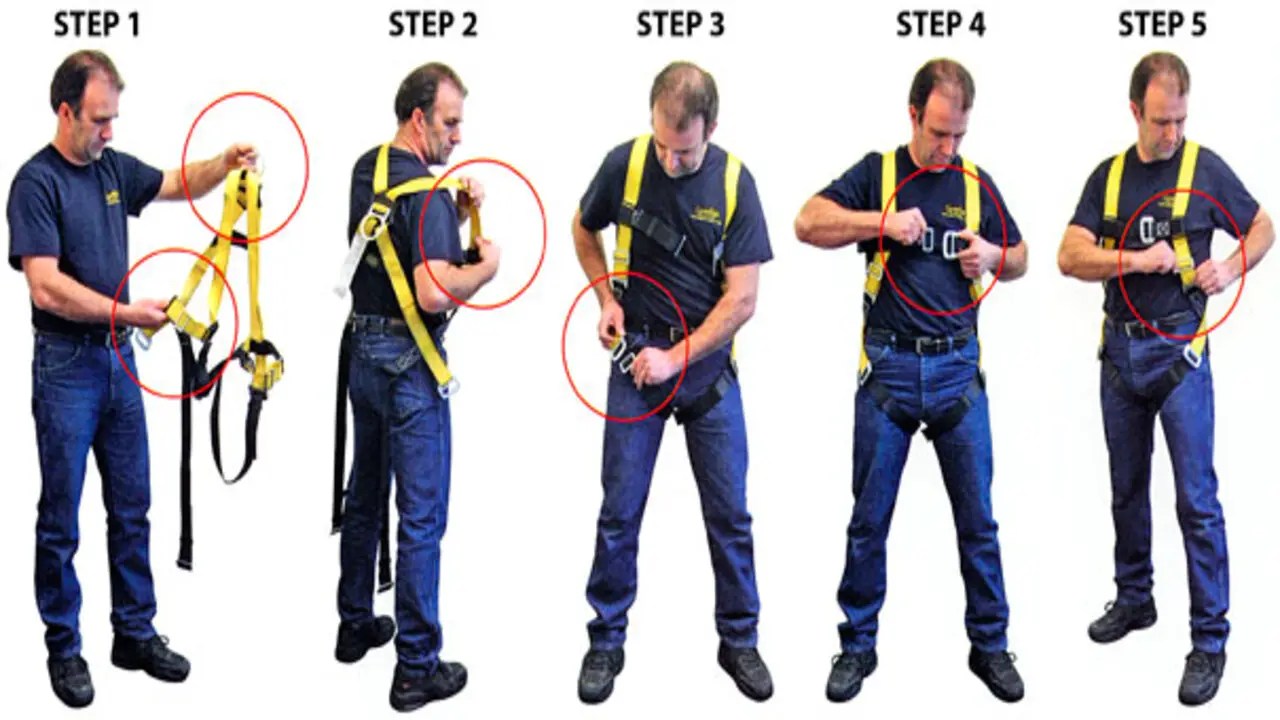 How Do You Wear A Tree Climbing Harness 7 Essential Steps