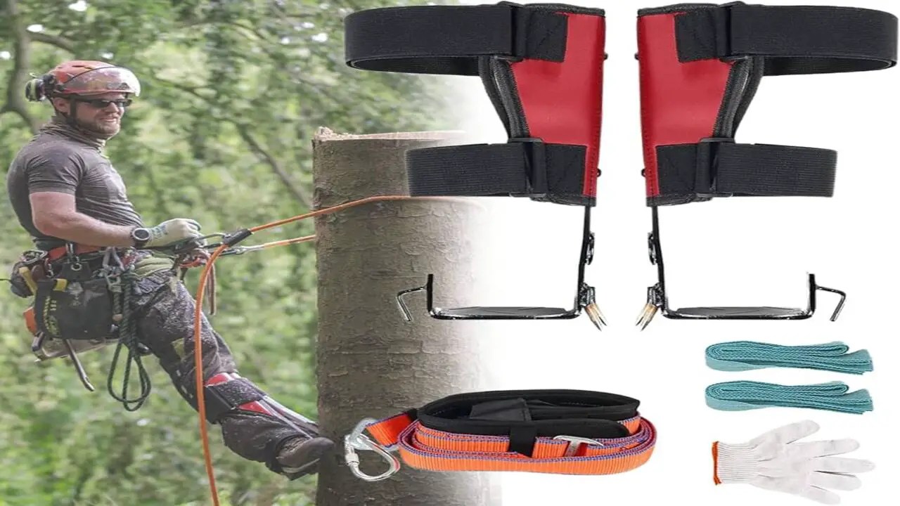 How Do You Set Up Tree Climbing Spikes Explained In 6 Steps