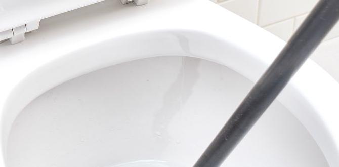 how to auger a toilet how to auger a toilet
