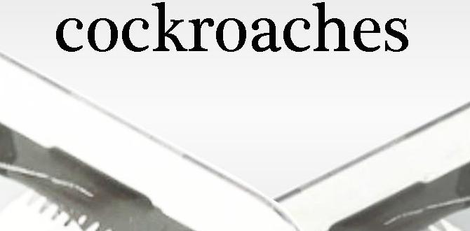 how to get rid of roaches in sink drain