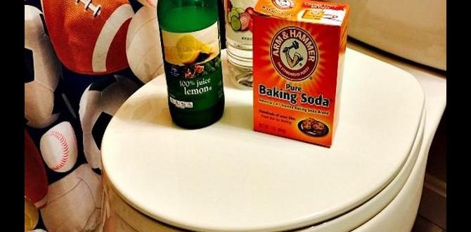 how to get rid of toilet smell how to get rid of toilet smell