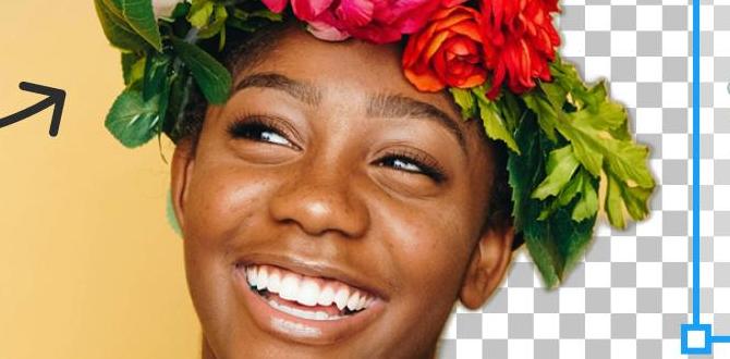 how to remove urine smell how to remove urine smell