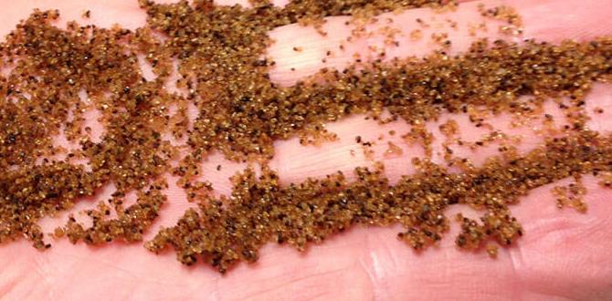 how to tell if water softener resin is bad how to tell if water softener resin is bad