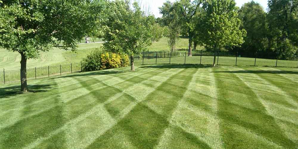 lawnprogramslide Top Class Lawn Care