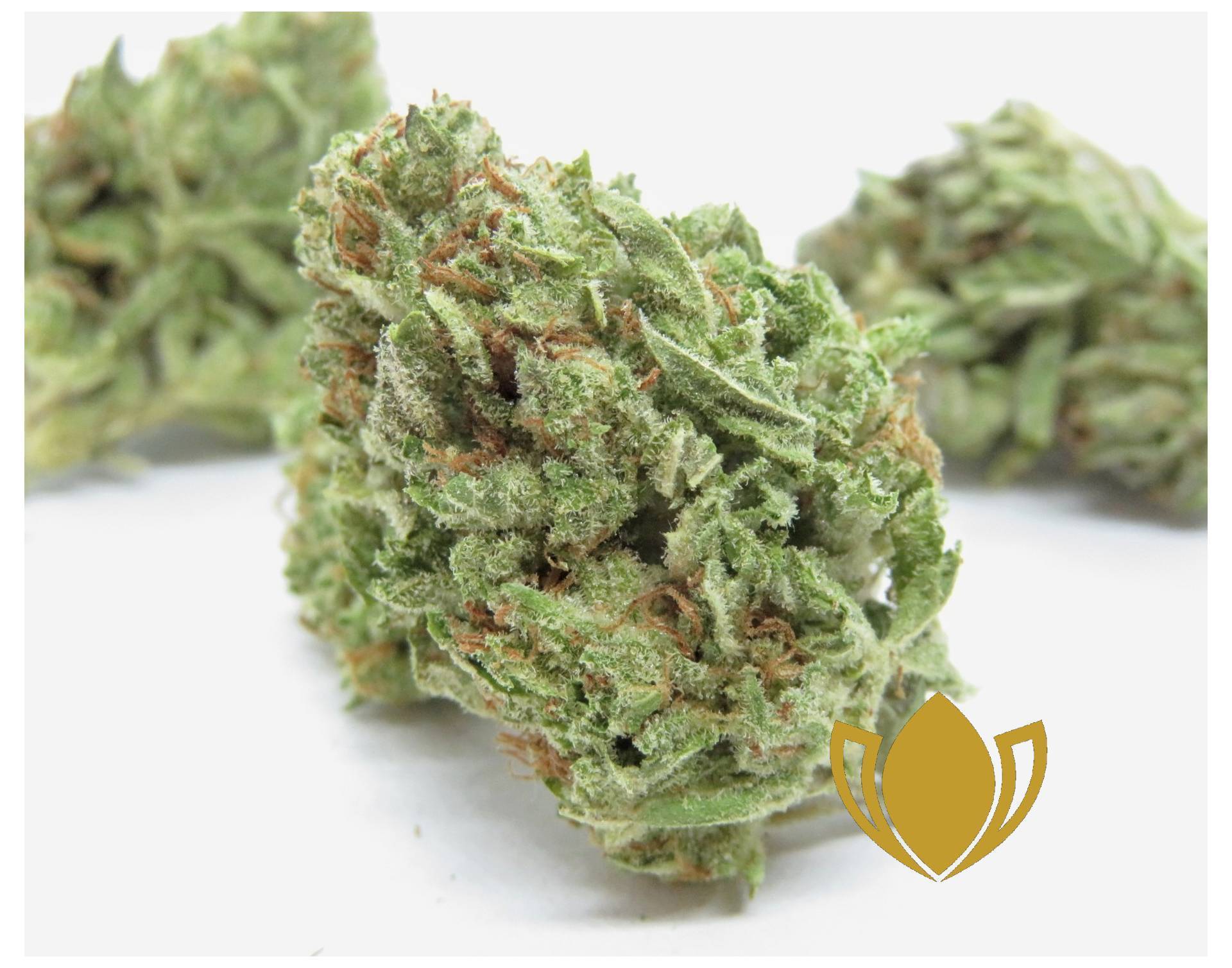 Sunset OG 180oz Top Cola Delivery