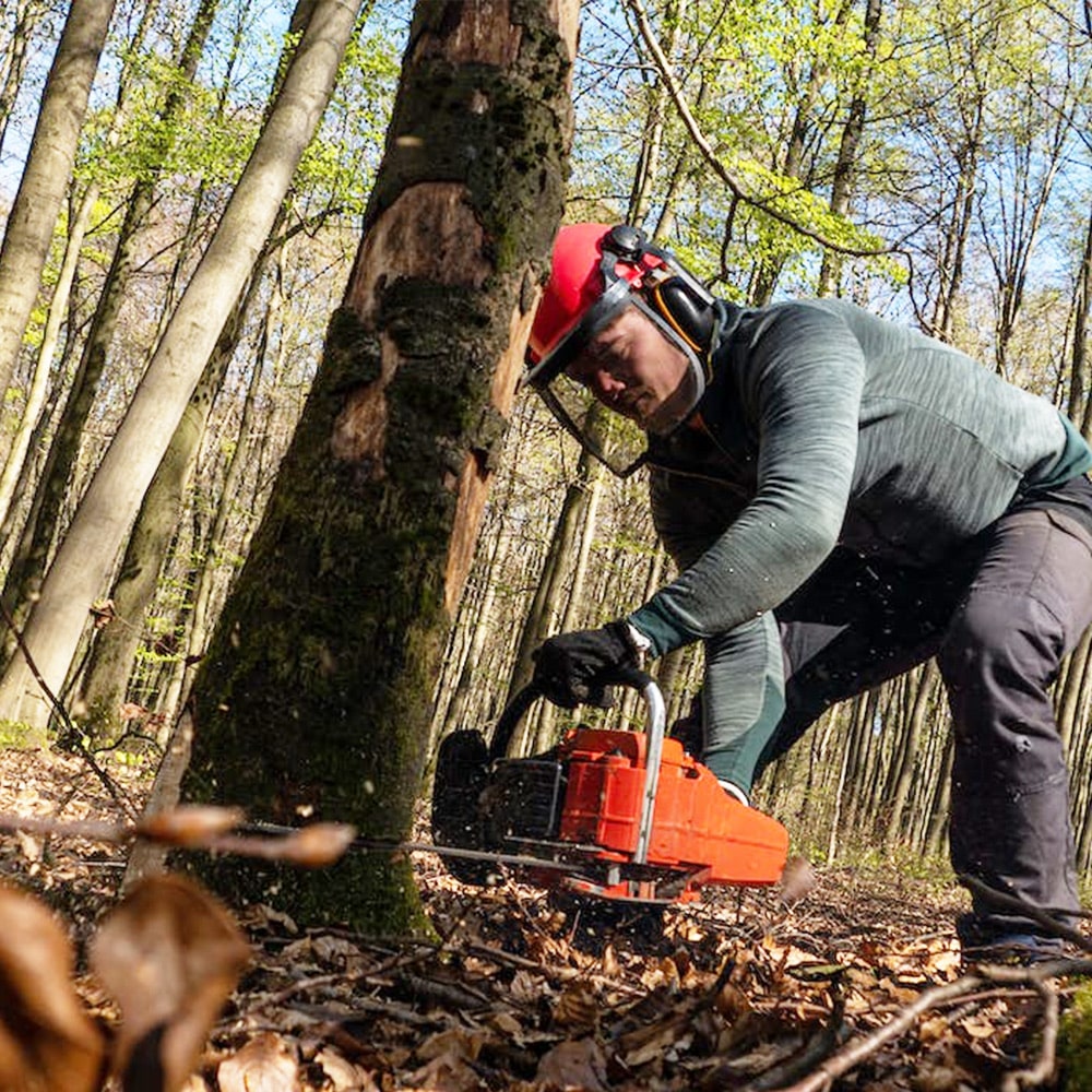 Professional Tree Removal Service in Southern Maryland