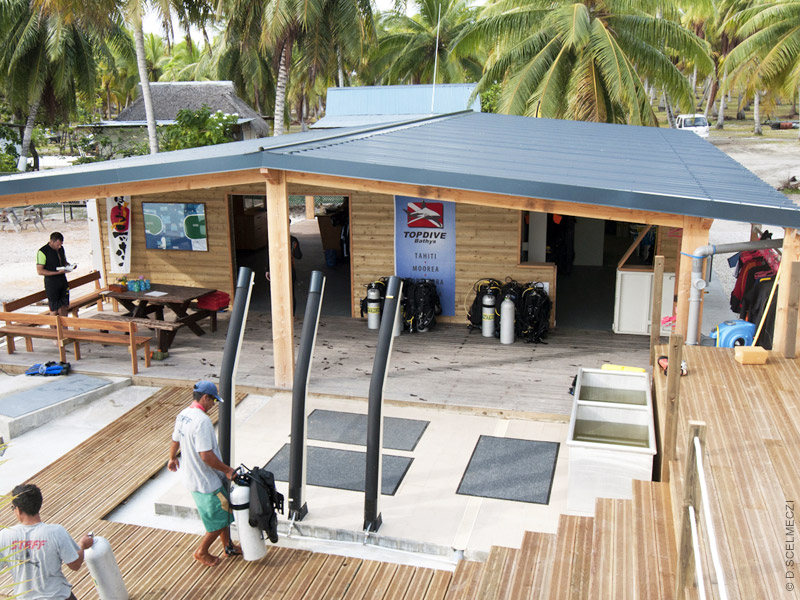 Scuba Diving in Rangiroa TOPDIVE