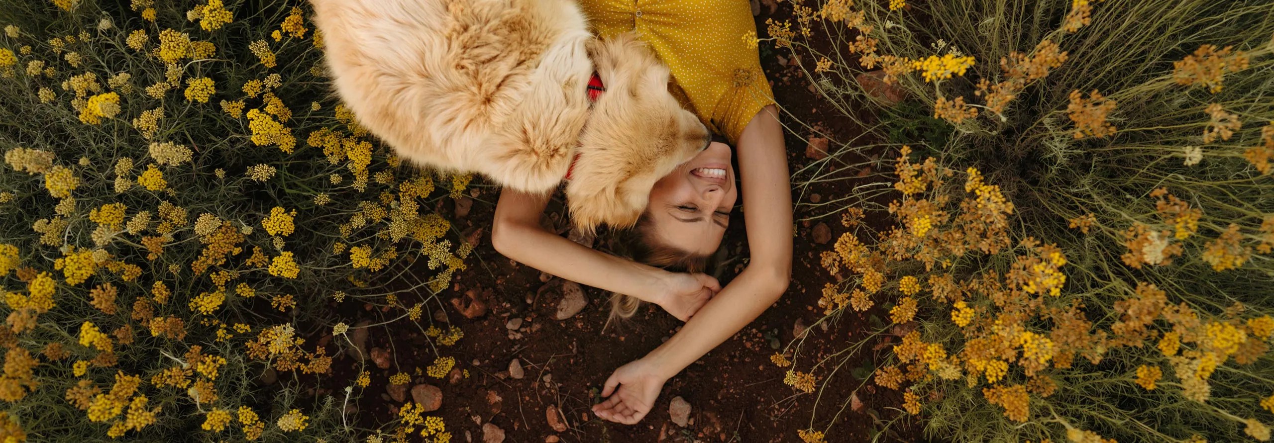 Καινοτομία στη φροντίδα των κατοικίδιων σας! Topdog