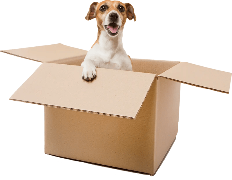 Shipping and Return Policy TopDog Health