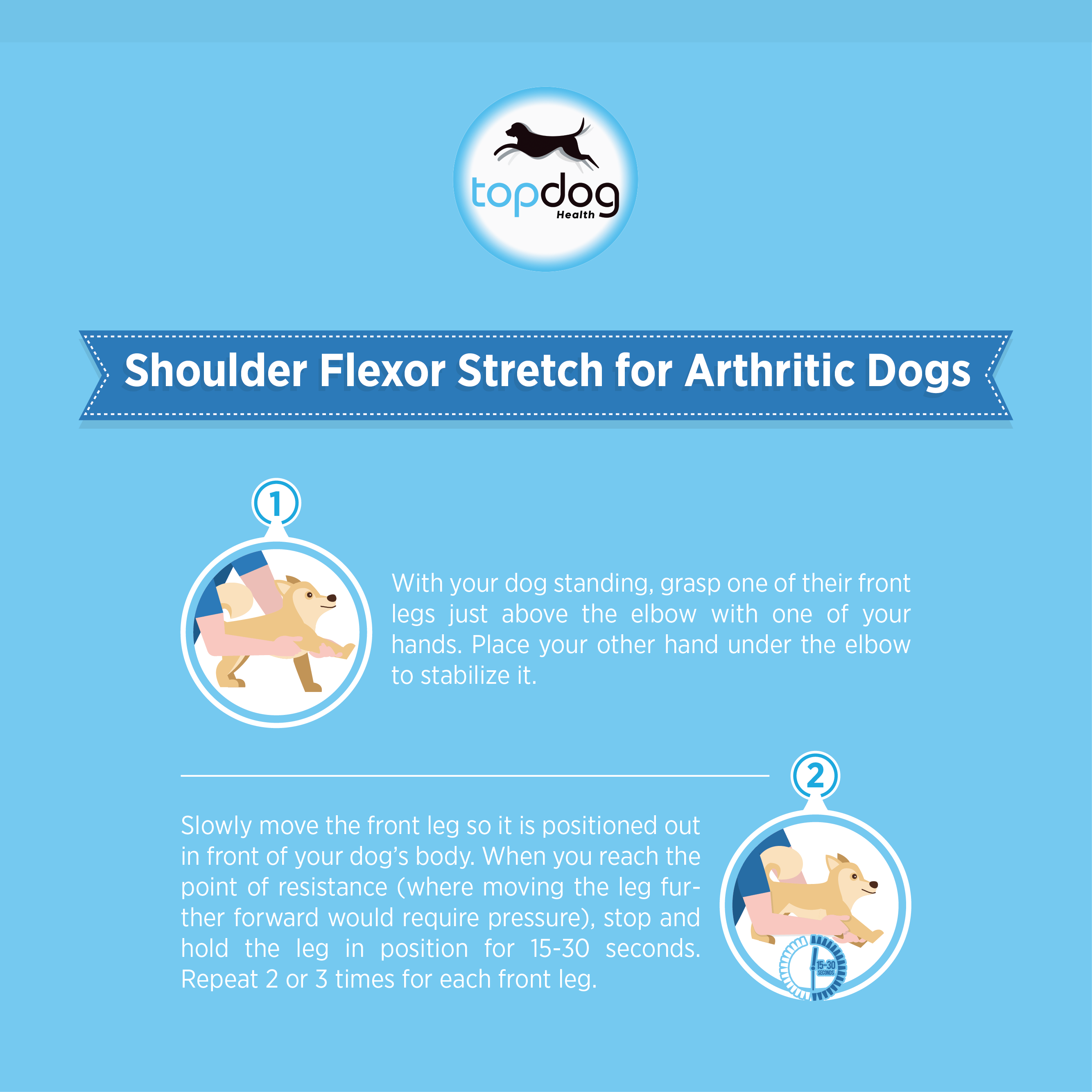 A Top Vet's Top 3 Stretches for Arthritic Dogs TopDog Health