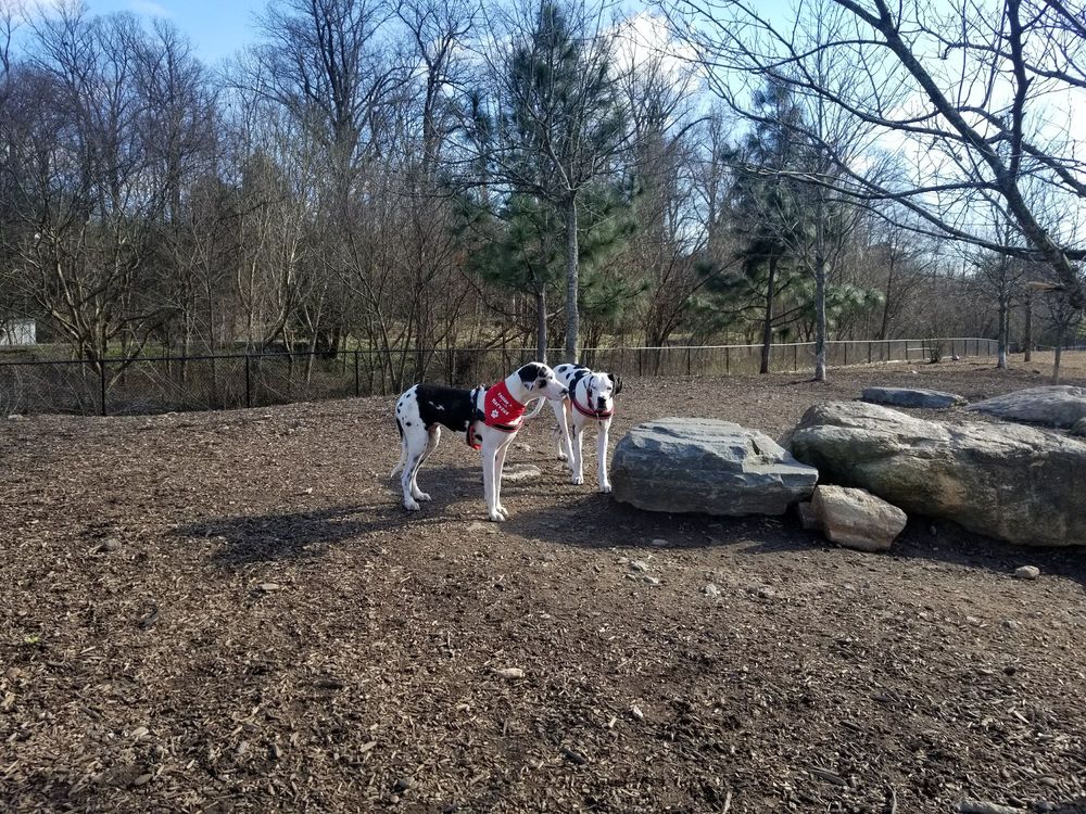 Piedmont Dog Park Top Dog Parks