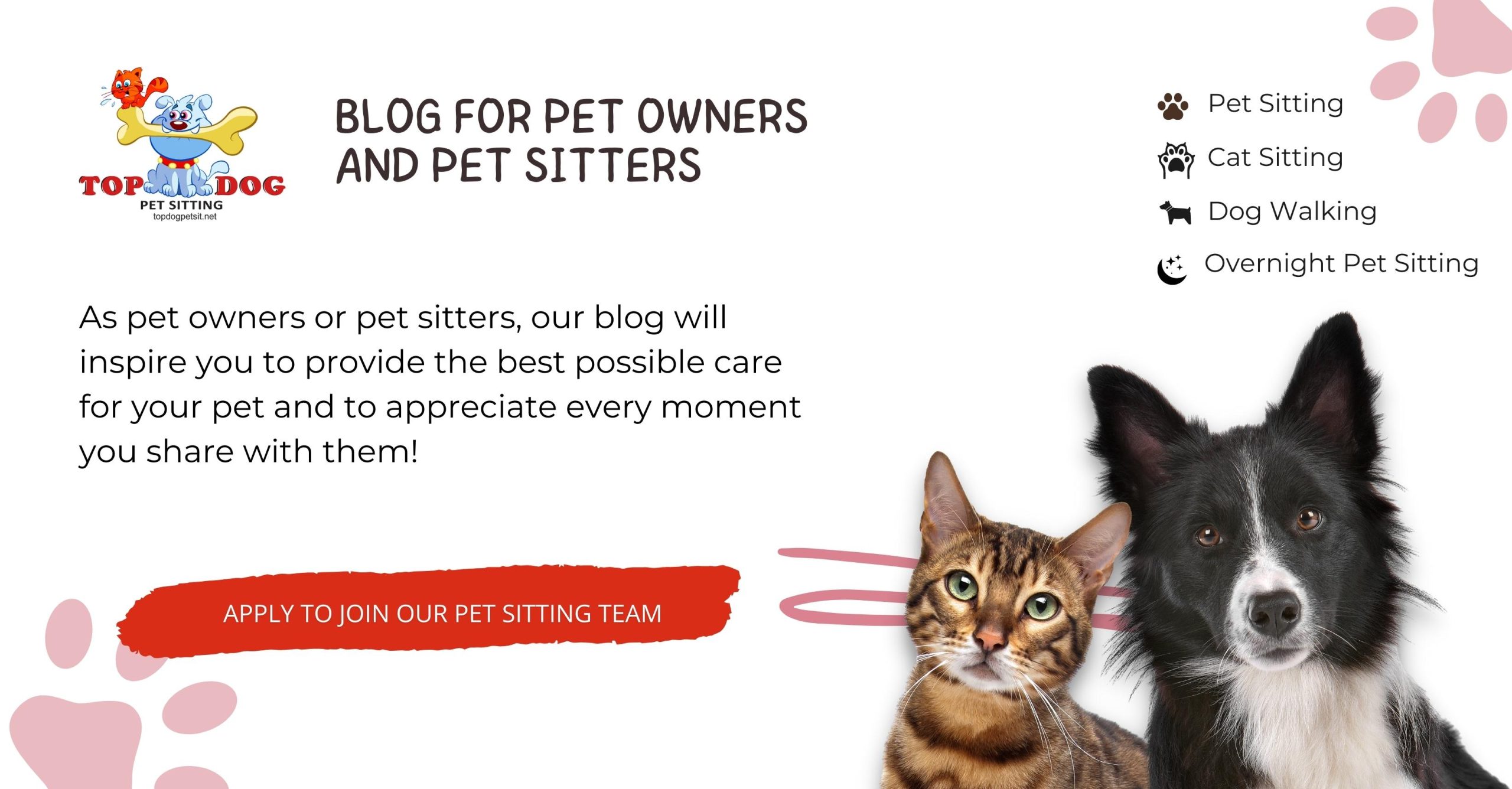 Blog for Pet Owners and Pet Sitters by Top Dog 🐾
