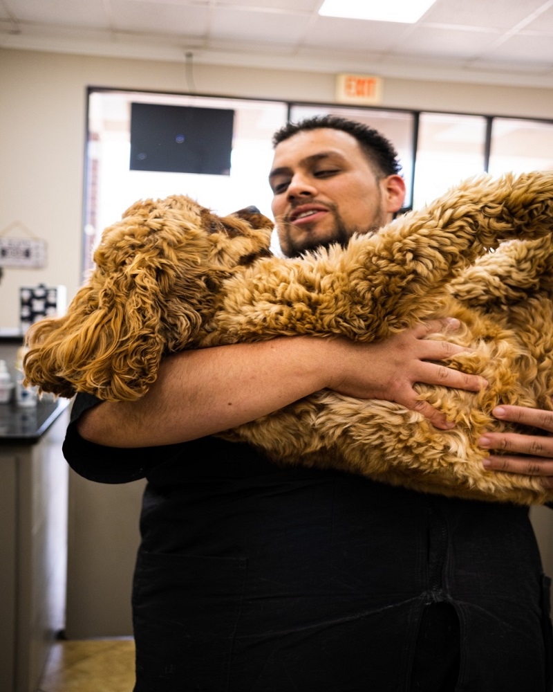 Mobile Pet Grooming Top Dogs Pet Grooming