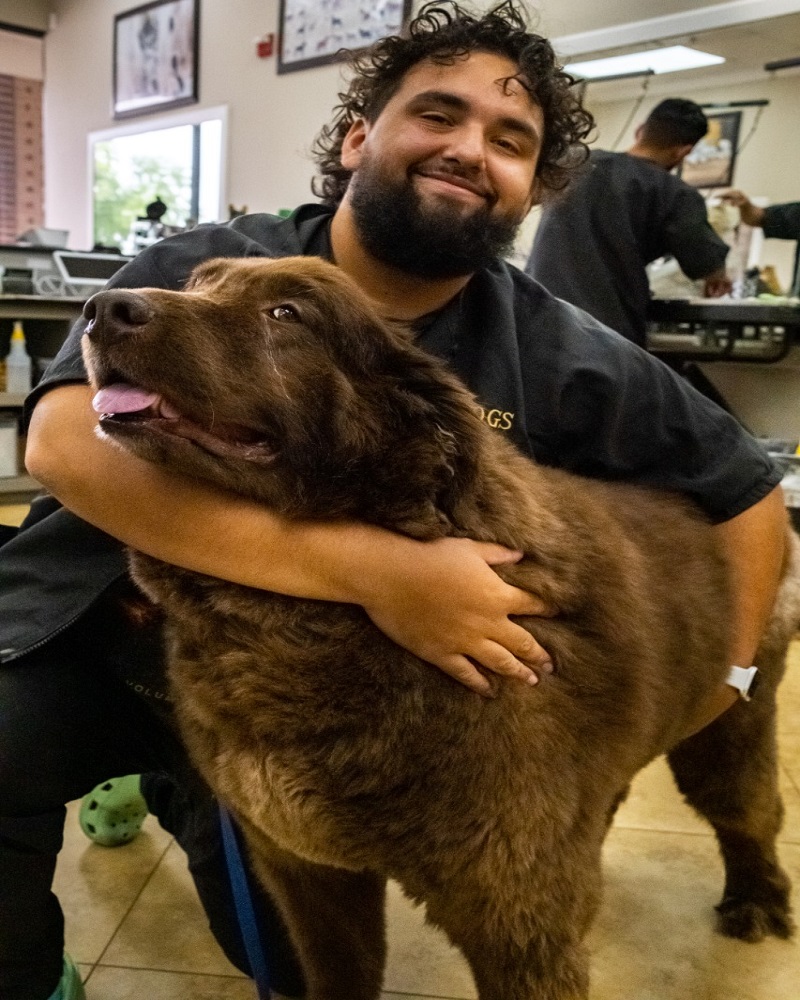 Mobile Pet Grooming Top Dogs Pet Grooming