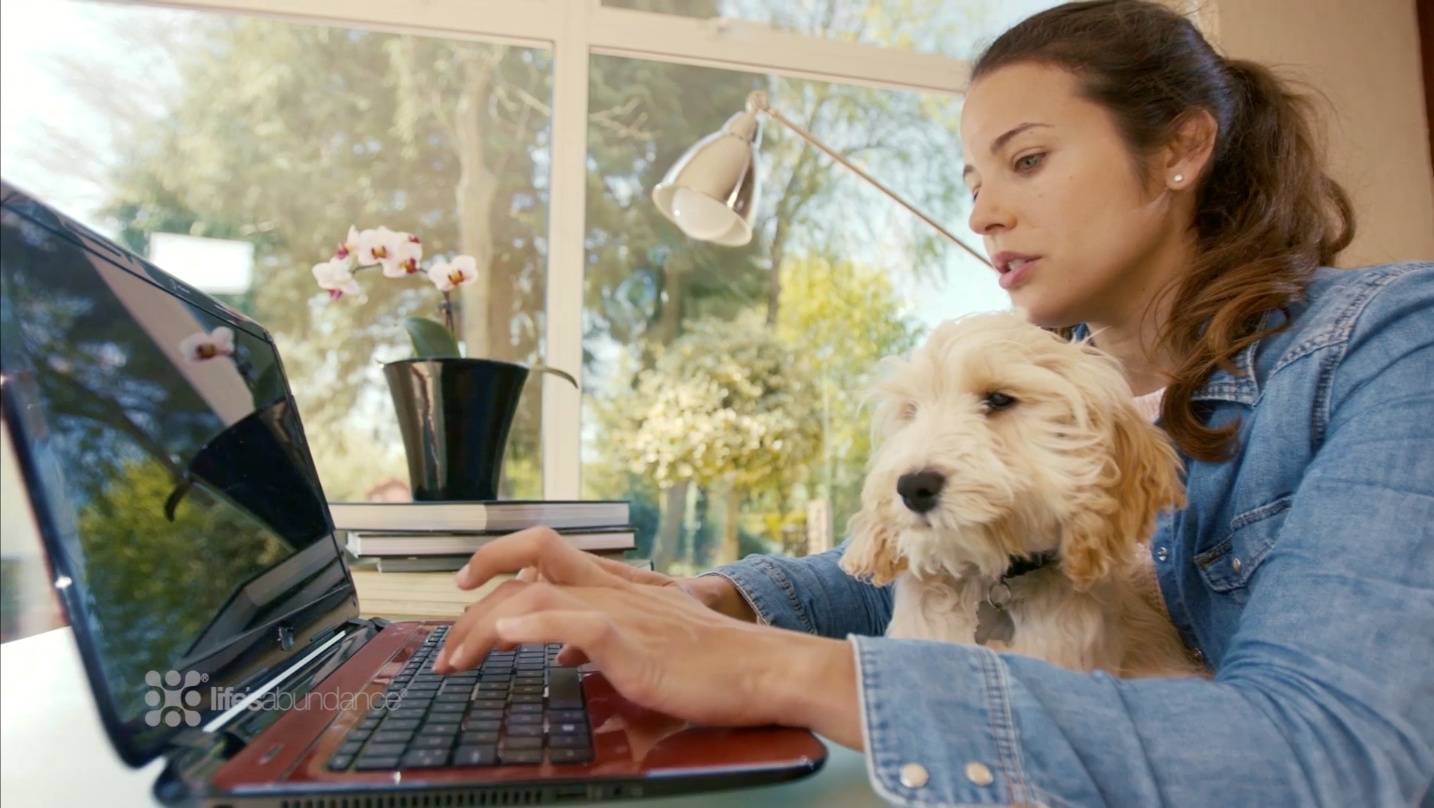 Start a Pet Career Top Dog System