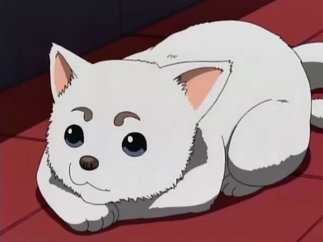 10 Most Awesome Dogs in Anime Top Dog Tips