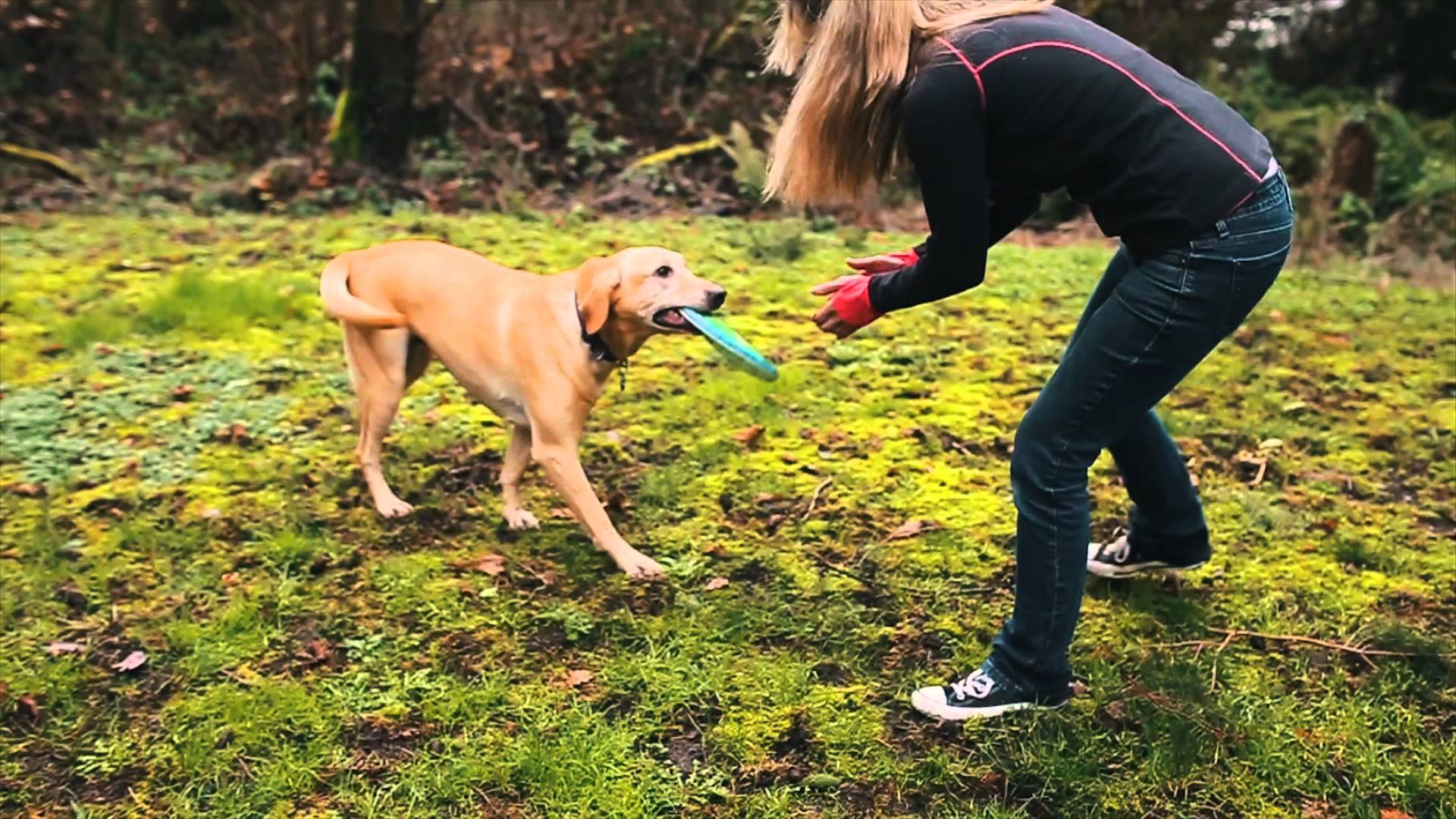 New Lickable Dog Treat is Healthy and Fun Top Dog Tips