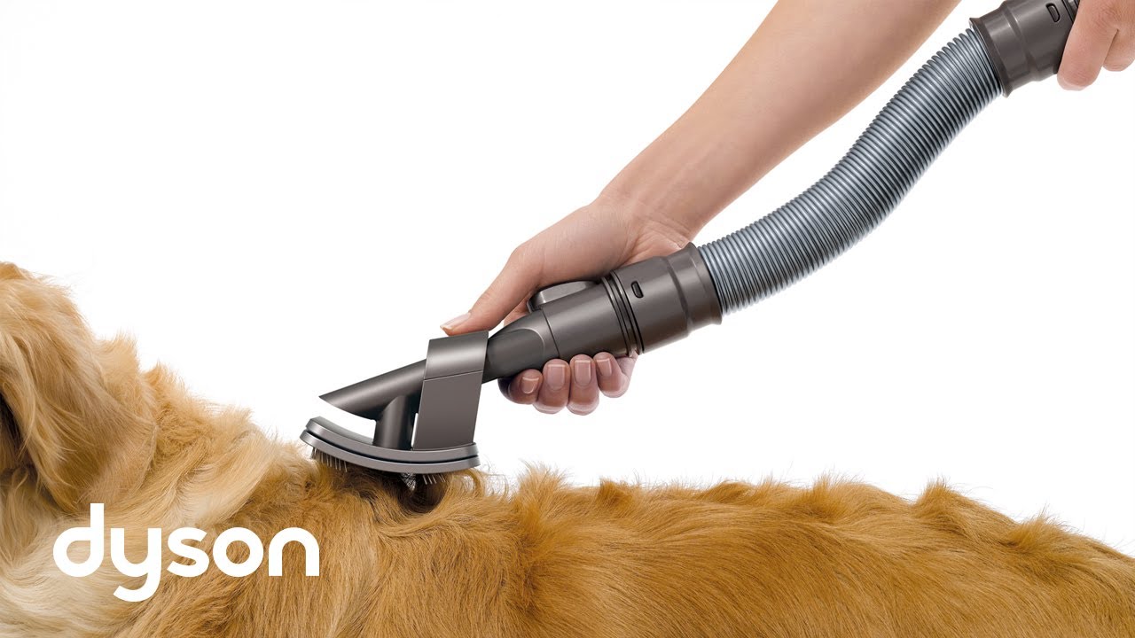 New Vacuum Attachment Makes Dog Grooming Easier Top Dog Tips