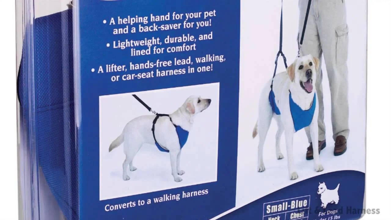 Easily Give Your Dog a Lift With This Innovative Harness Top Dog Tips