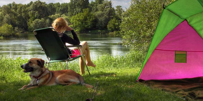 Camping With Dogs Tips, Guidelines, Do’s And Don'ts Top Dog Tips
