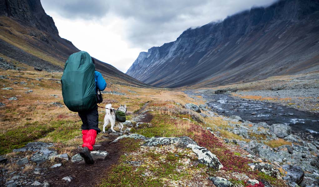 How to Go Backpacking with Dogs (Cool Tips and Safety Advice)