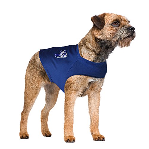 Top 5 Best Dog Anxiety Vests to Relieve Stress in Dogs Top Dog Tips