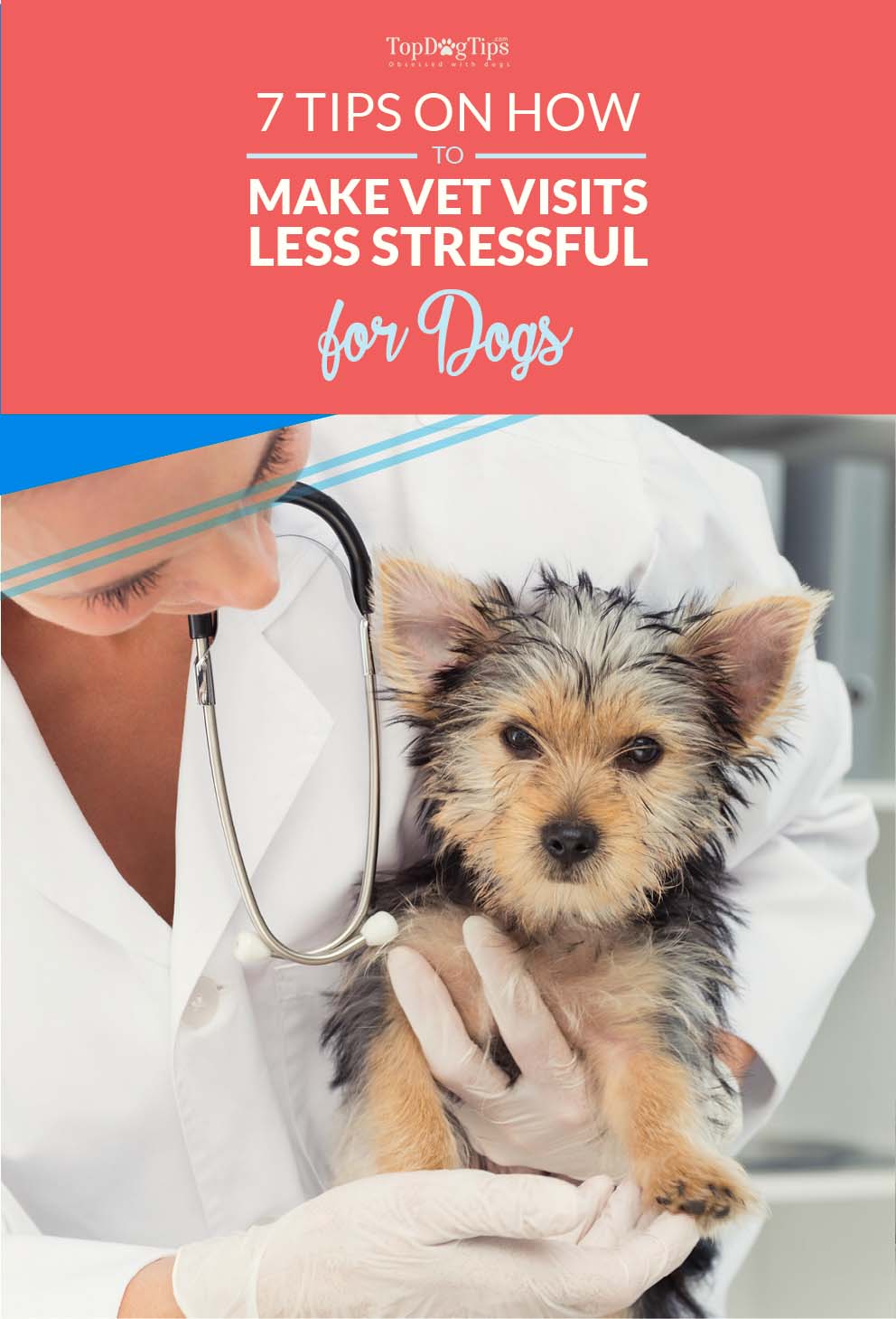 7 Tips on How to Make Vet Visits Less Stressful for Dogs