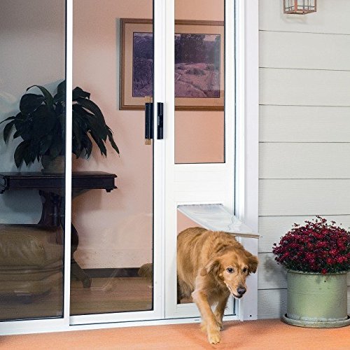 Top 5 Best Patio Pet Door for Dogs Convenient for Owners and Pets