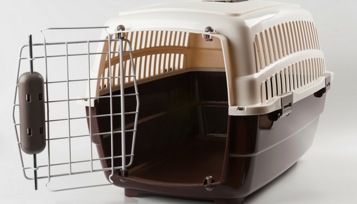 5 Types of Pet Crates and How to Choose the Right One Top Dog Tips