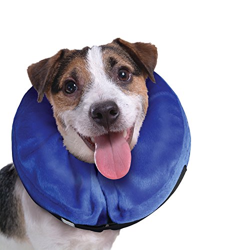 Top 5 Best Dog Recovery Cones & ECollars for Dogs (2017)