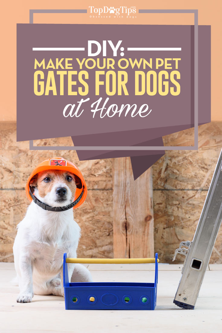 DIY Pet Gates Project How to Make a Dog Gate at Home Top Dog Tips