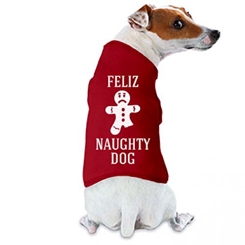 19 Best Dog Christmas Clothes and Costumes (9 Is Too Cute!)