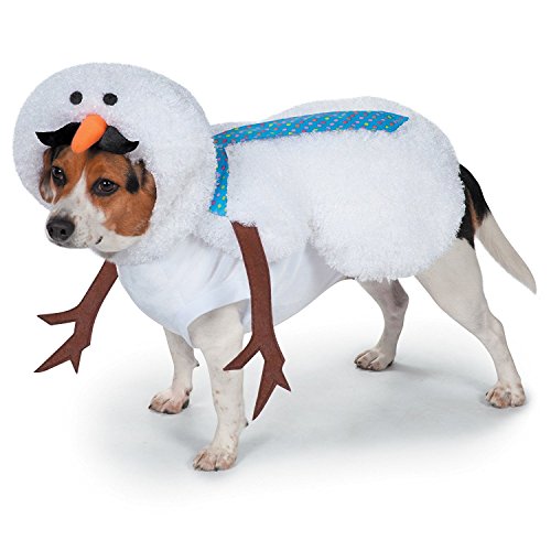 19 Best Dog Christmas Clothes and Costumes (9 Is Too Cute!)
