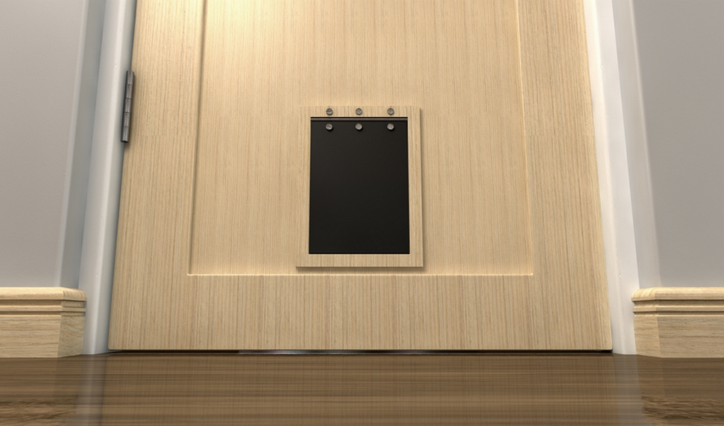 How to Install Dog Doors at Home (Garage/Drywall) Step by Step Guide