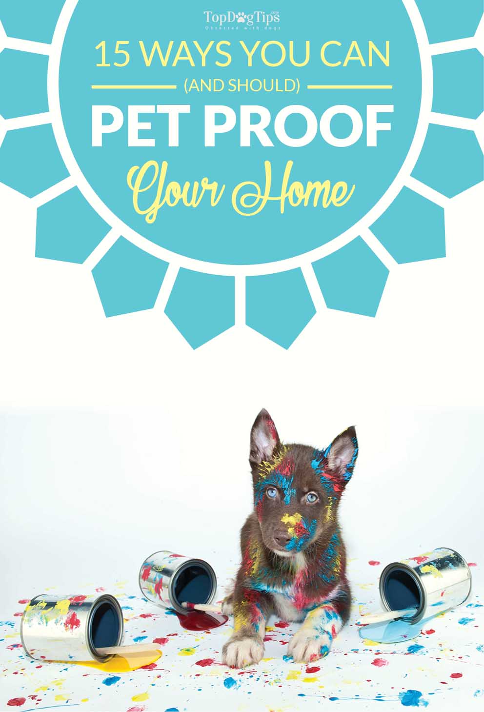 15 Tips on Pet Proofing Your Home in Preparation for a New Dog