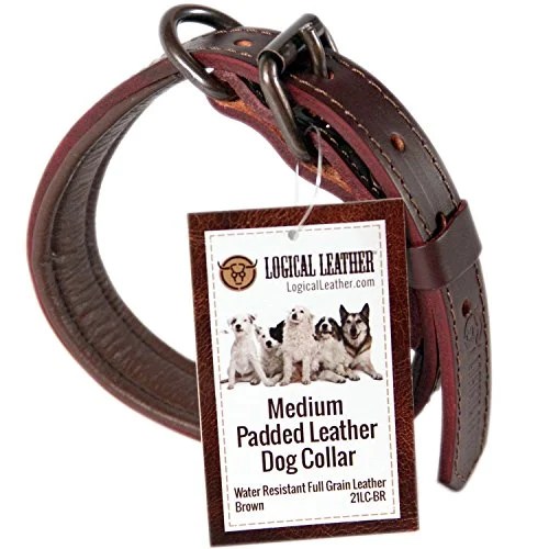 Top 5 Best Leather Dog Collars for Big Dogs and Medium Breeds
