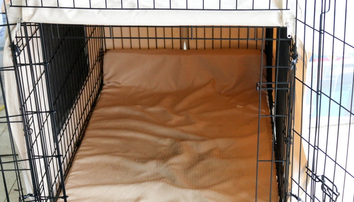 dog crate training tips
