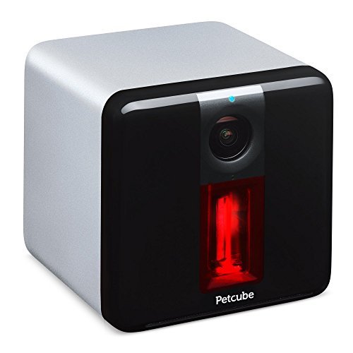 Petcube Play Dog Camera Review + Video (2017)